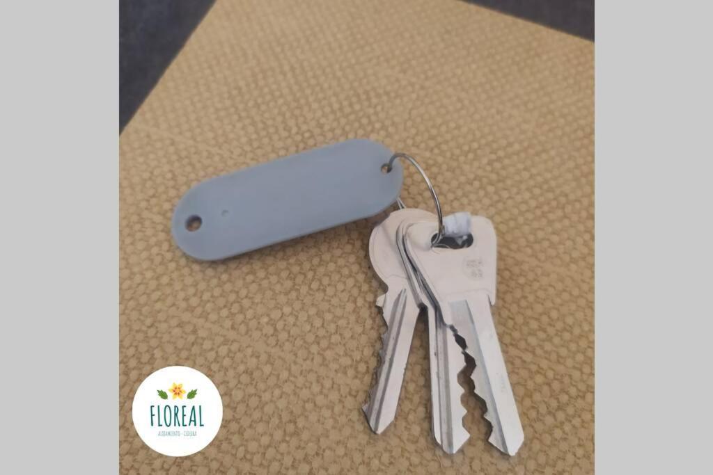 Cedeira Apartamento - Floreal Εξωτερικό φωτογραφία